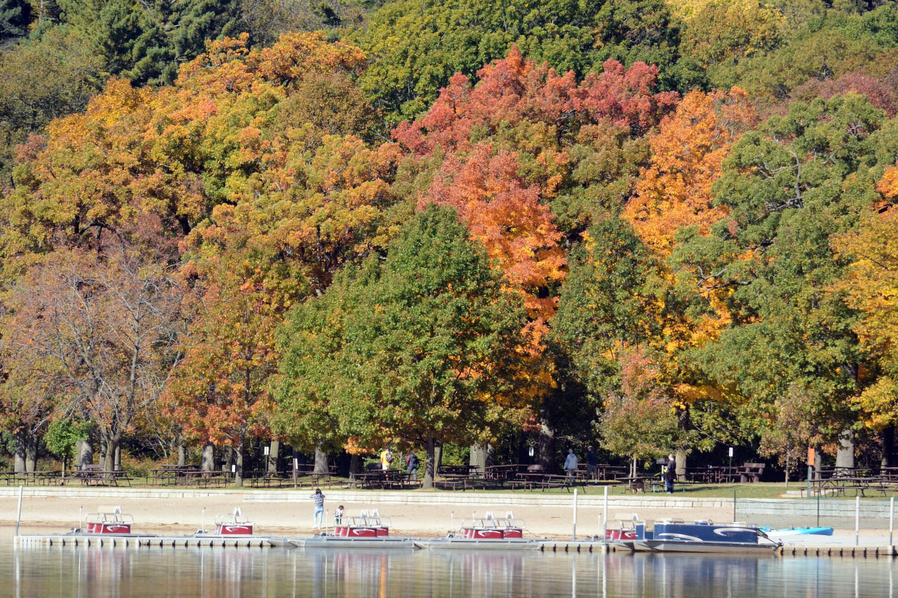 Baraboo area fall color, Oct. 8, 2020